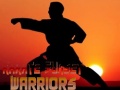 Hra Karate Sunset Warriors