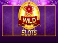 Hra Wild Slot