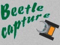Hra Beetle Capture
