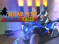 Hra Quad ATV Traffic Racer