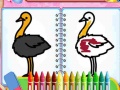 Hra Coloring Birds Game