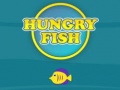 Hra Hungry Fish