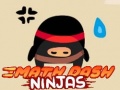 Hra Math Dash Ninjas
