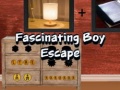 Hra Fascinating Boy Escape