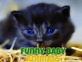 Hra Funny Baby Animals