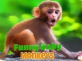 Hra Funny Baby Monkey