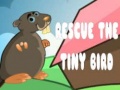 Hra Rescue The Tiny Bird