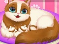 Hra Cute Kitty Pregnant