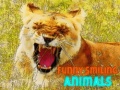 Hra Funny Smiling Animals