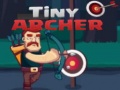 Hra Tiny Archer