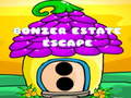 Hra Bonzer Estate Escape