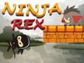 Hra Ninja Rex