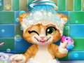 Hra Rusty Kitten Bath