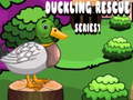 Hra Duckling Rescue Series1