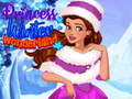 Hra Princess Winter Wonderland