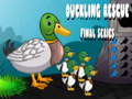 Hra Duckling Rescue Final Episode