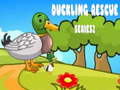 Hra Duckling Rescue Series2