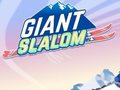 Hra Giant Slalom