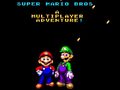 Hra Super Mario Bros: A Multiplayer Adventure