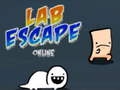 Hra Lab Escape Online