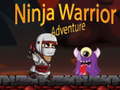 Hra Ninja Warrior Adventure