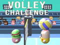 Hra Volley Challenge