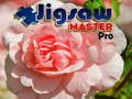Hra Jigsaw Master Pro
