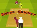 Hra Super Cricket 