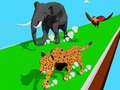 Hra Animal Transform Race 3D