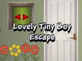 Hra Lovely Tiny Boy Escape