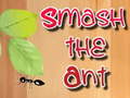 Hra Smash the Ant