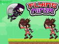 Hra Flying Ninja