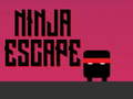 Hra Ninja escape