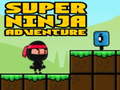 Hra Super Adventure Ninja