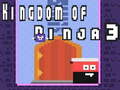 Hra Kingdom of Ninja 3