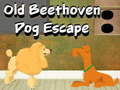 Hra Old Beethoven Dog Escape