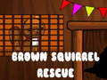 Hra Brown Squirrel Rescue