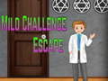 Hra Amgel Mild Challenge Escape