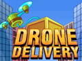 Hra Drone Delivery