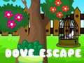 Hra Dove Escape