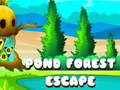 Hra Pond Forest Escape
