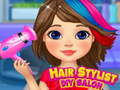 Hra Hair Stylist DIY Salon