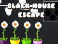 Hra Black House Escape