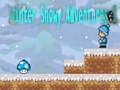 Hra Winter Snowy Adventures 1
