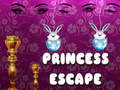 Hra Princess Escape