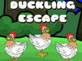 Hra Duckling Escape