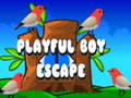 Hra Playful Boy Escape
