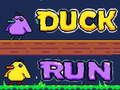 Hra Duck Run