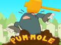 Hra Pum-Mole