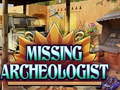 Hra Missing Archeologist